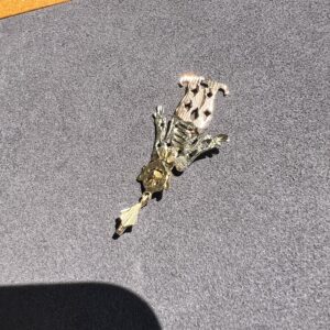 Alternative view of 14k 2.6g Gold Clown Multi-Color Charm