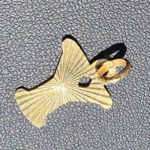 22k 1.7g Gold Y Charm