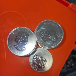 Canada 1.5ozt Polar Bears .9999 - Image 4